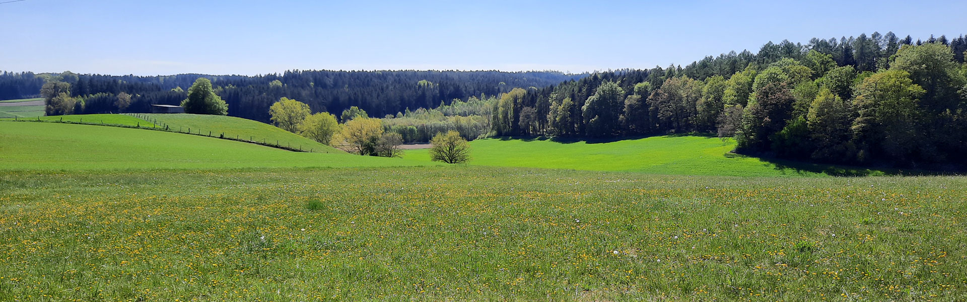 Unterdummeltshausen